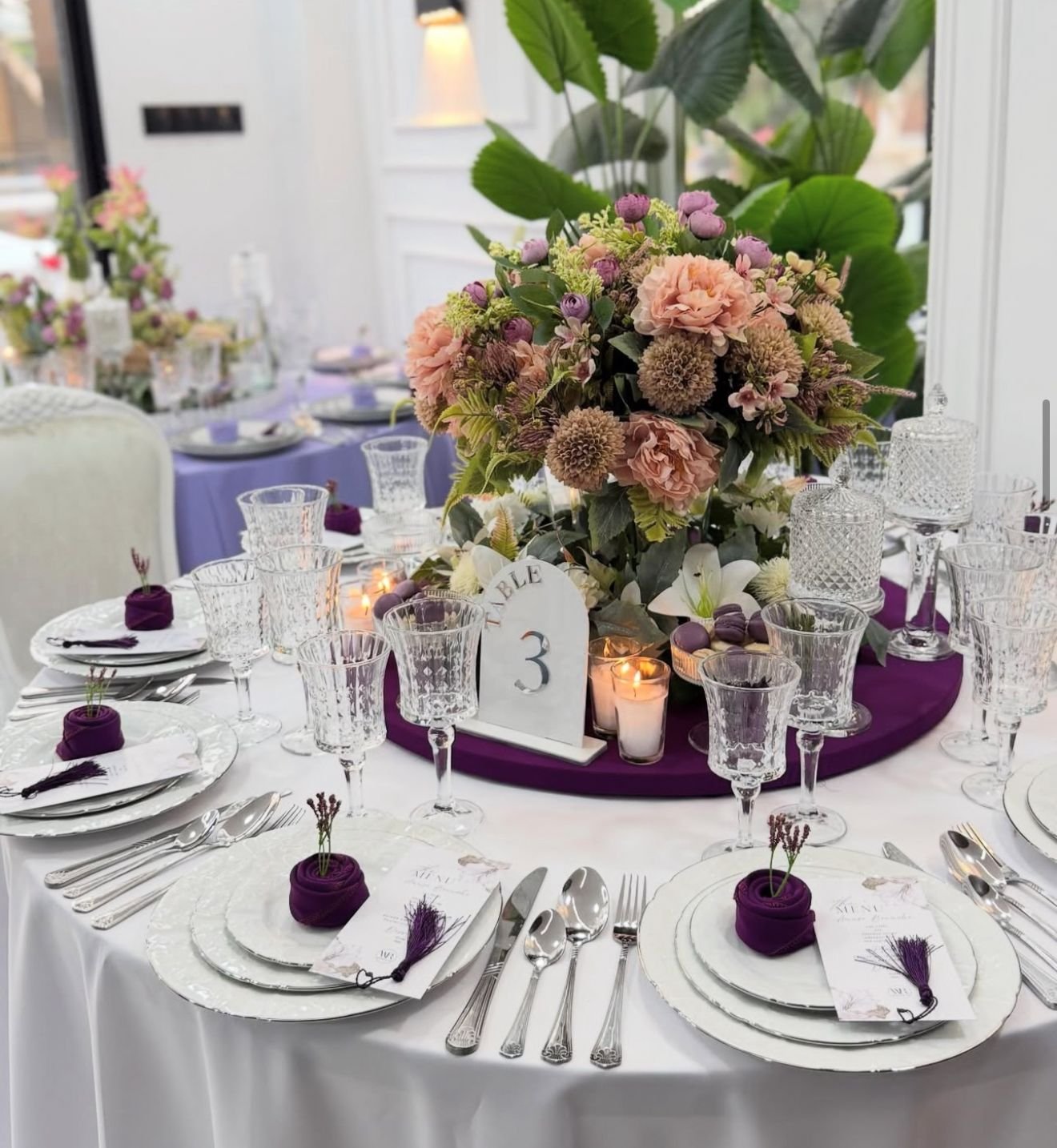 WhatsApp Image 2026-01-07 at 4.27.03 PM